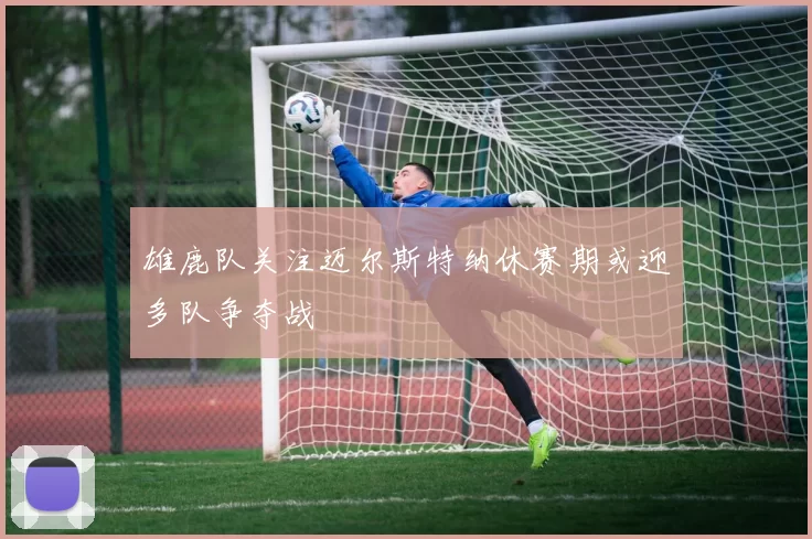 雄鹿队关注迈尔斯特纳休赛期或迎多队争夺战